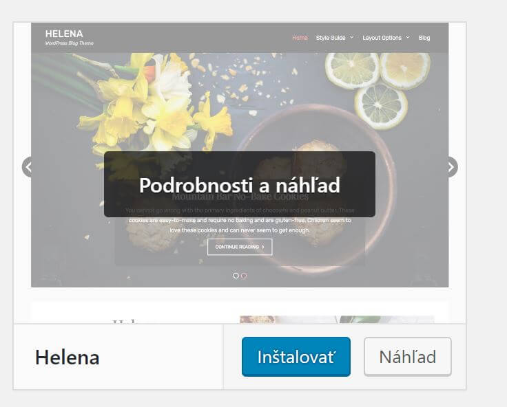 Vorschau eines WordPress-Themes
