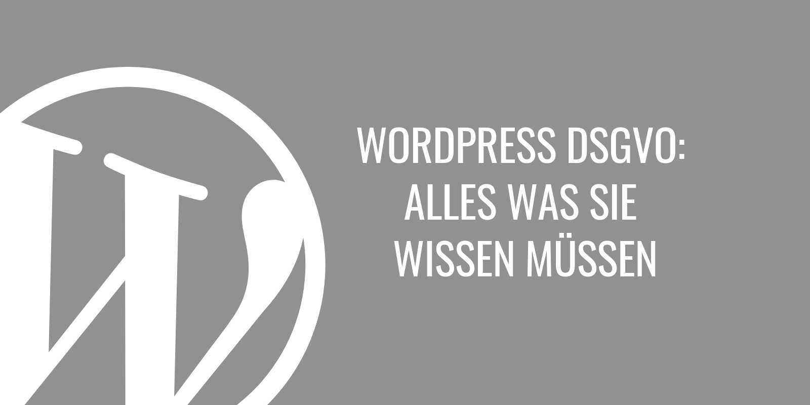 WordPress DSGVO - alles was Sie wissen müssen [Anleitung]
