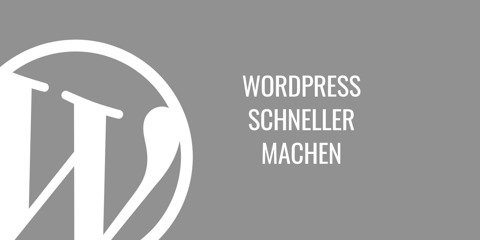 WORDPRESS SCHNELLER MACHEN