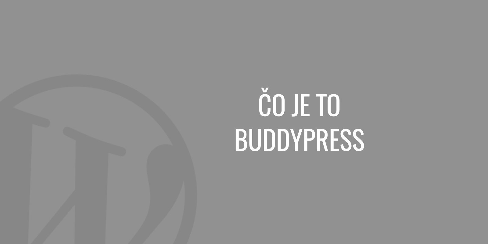 Was ist BuddyPress