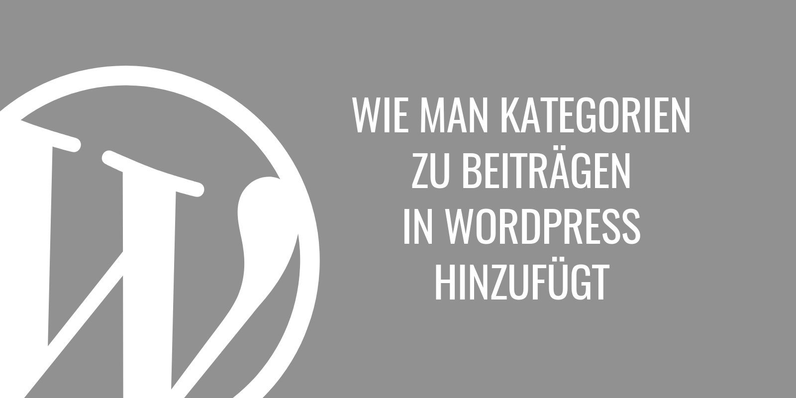 Wie man Kategorien zu Beiträgen in WordPress hinzufügt