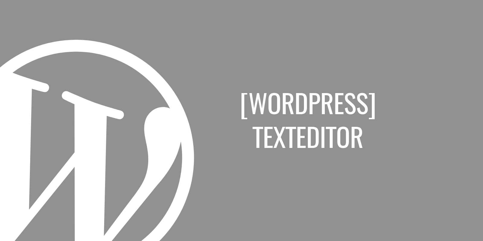 Wie man den Texteditor in WordPress benutzt?