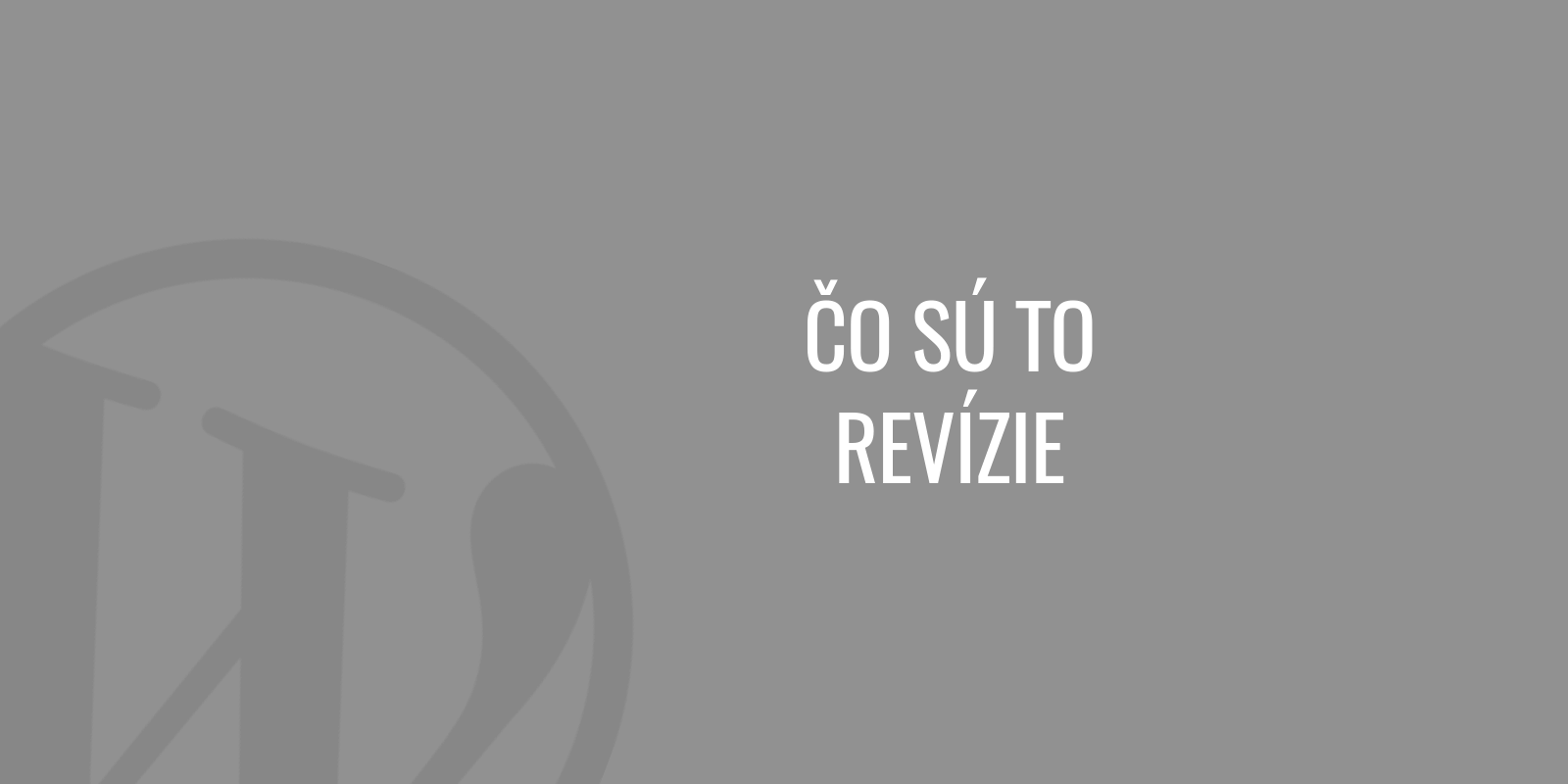 Was sind Revisionen?