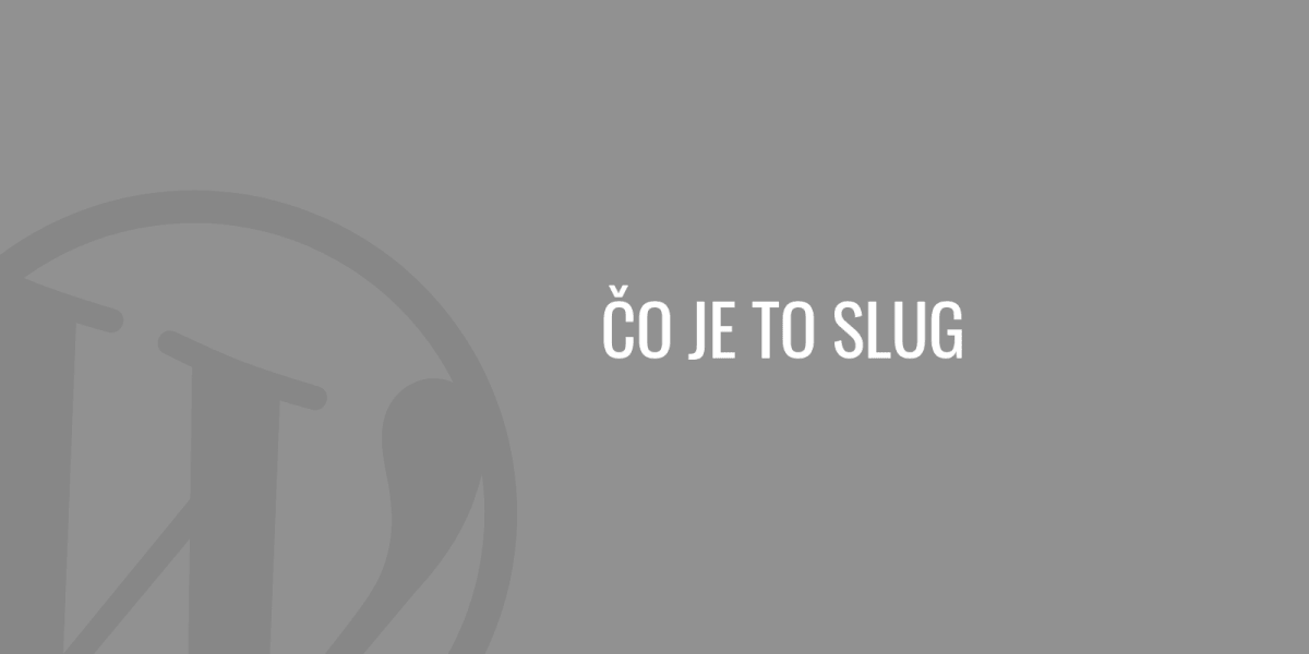 Was ist eine Schnecke?